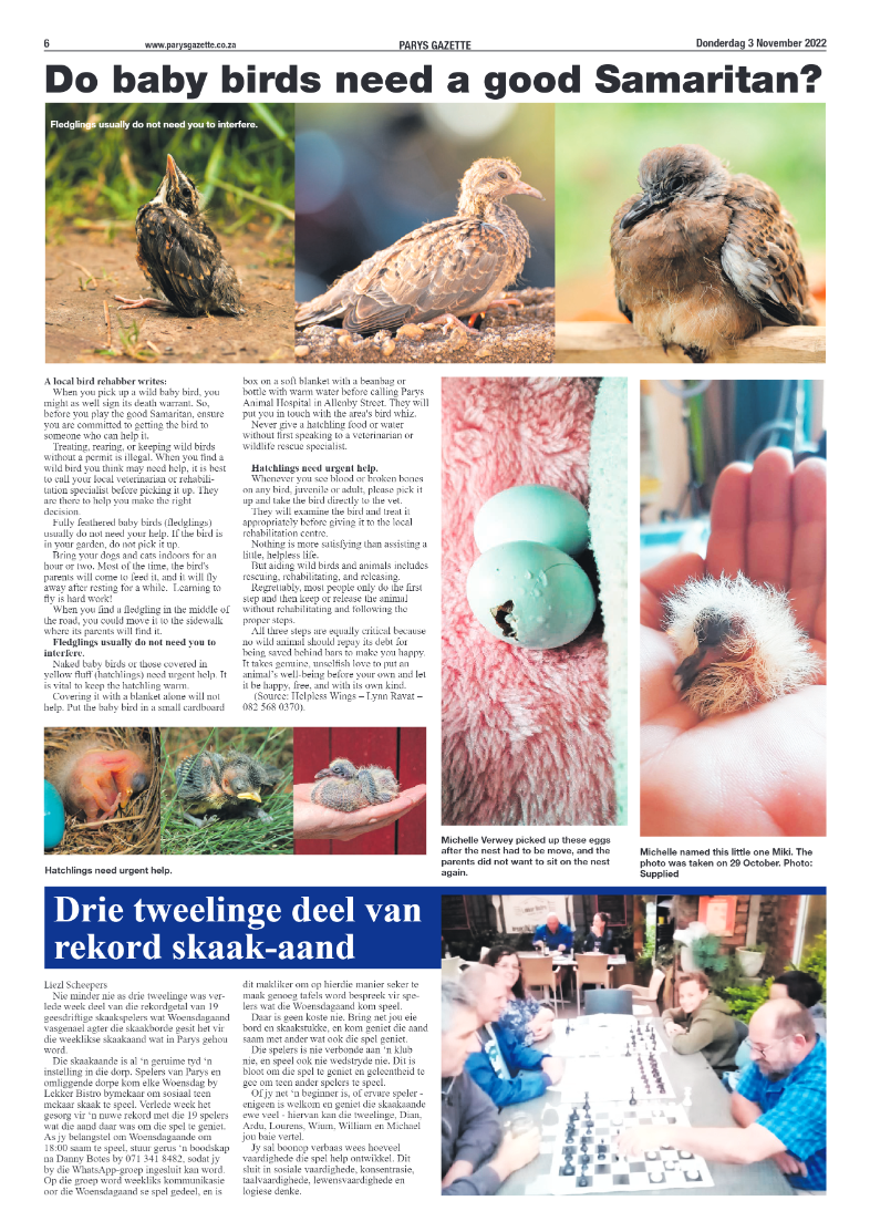 10 November 2022 page 6