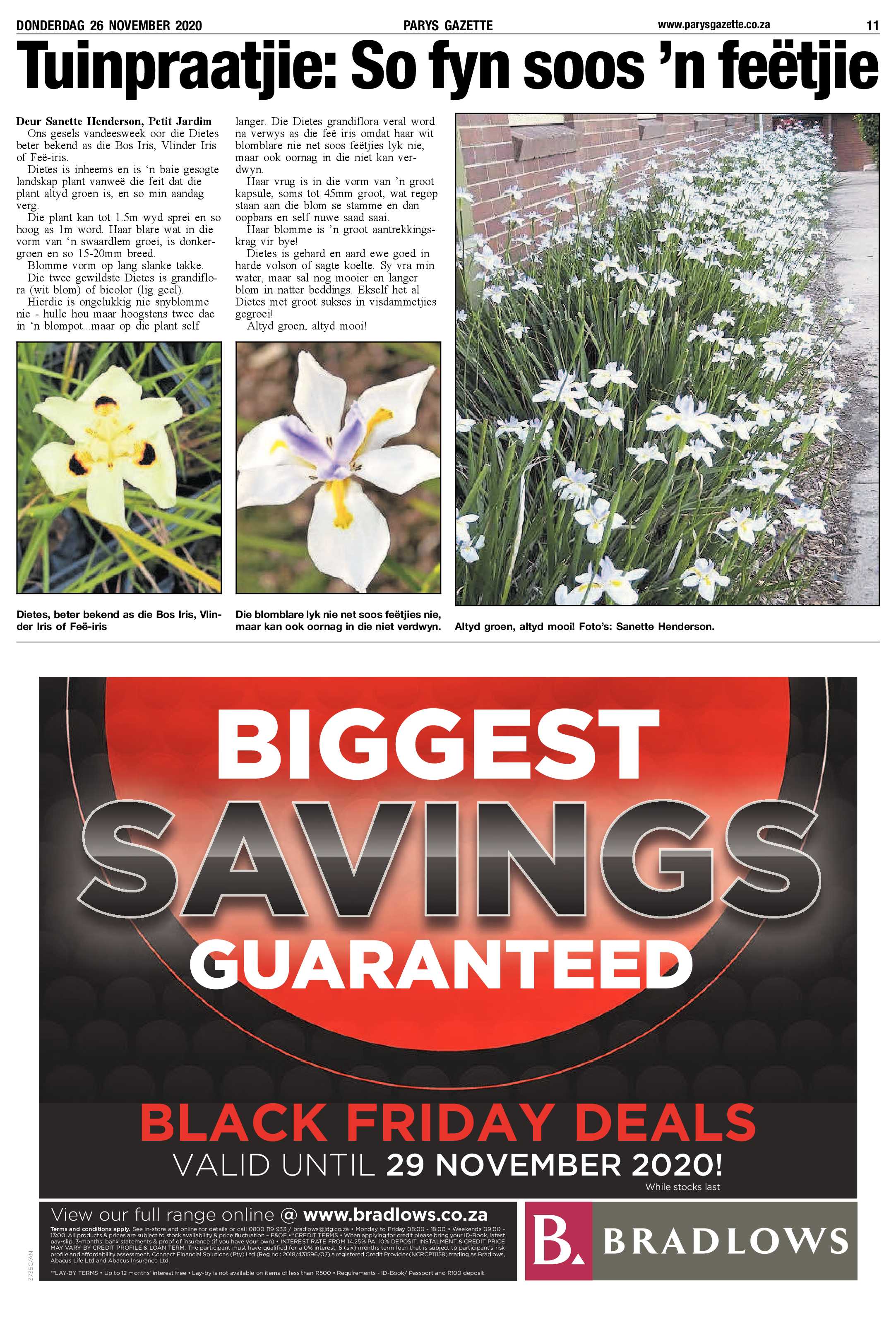 26 November 2020 page 11