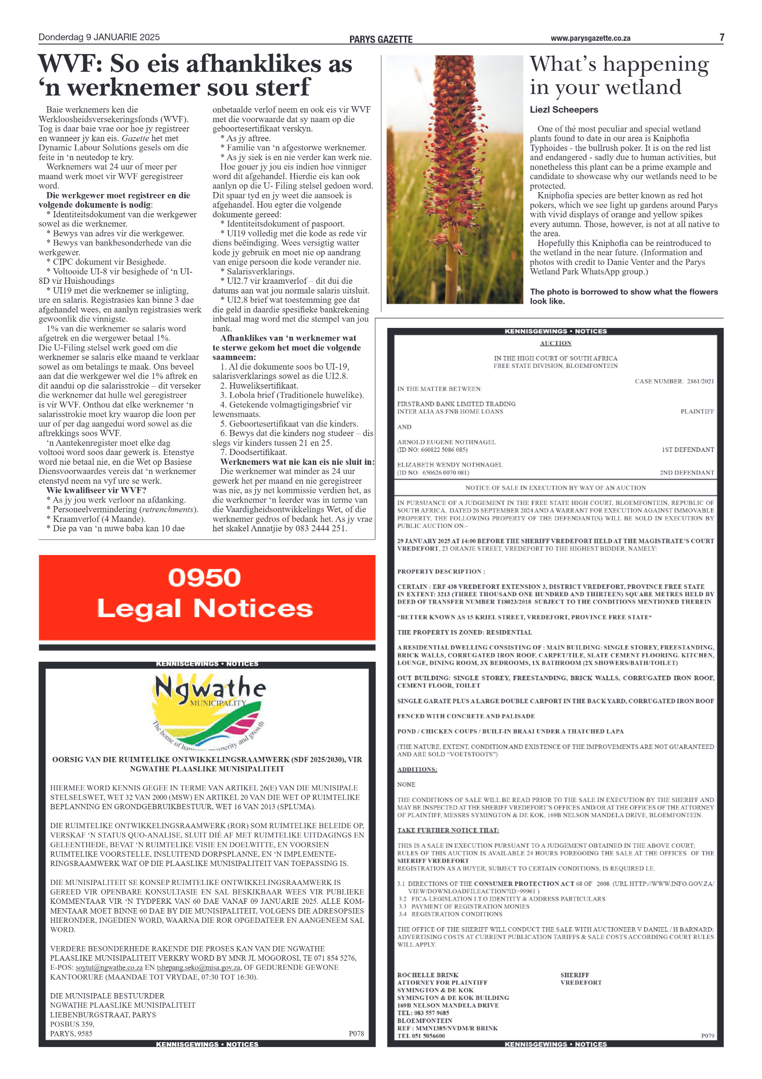 17 April 2025 page 7